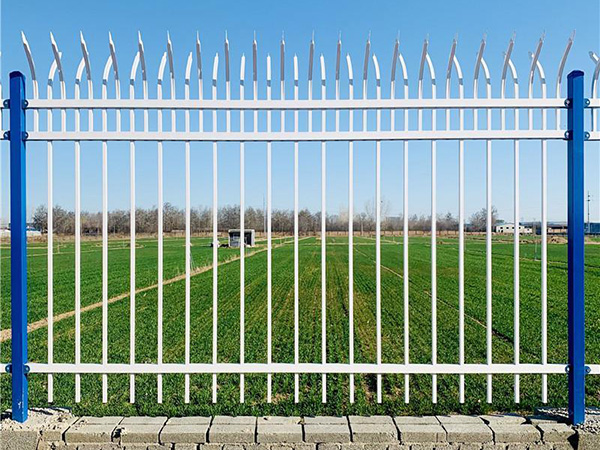 Security Fence