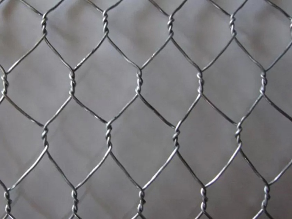 Hot-Dipped Galvanized Wire Mesh